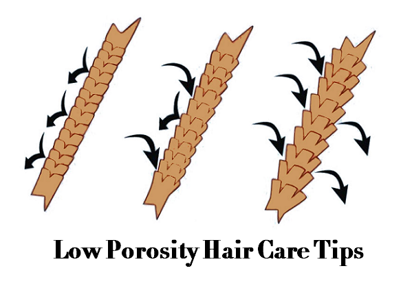 low porosity hair.png