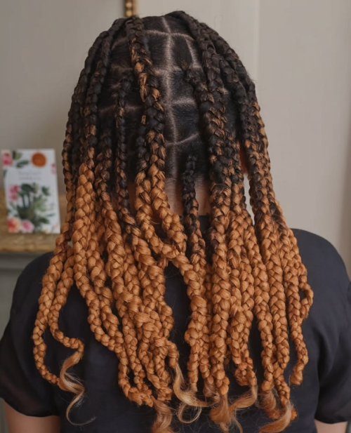 two tone braids.png